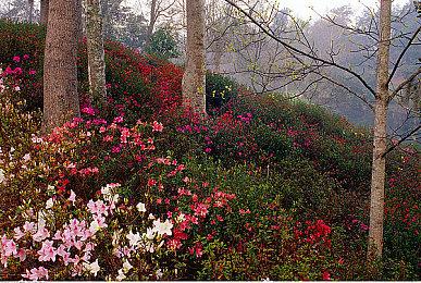 美剧改编动作游戏《眼镜蛇2：道场崛起》秋季发售